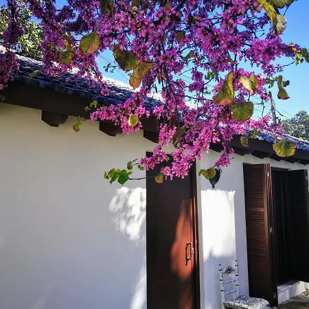 El Jardin De Azahar Guest house *