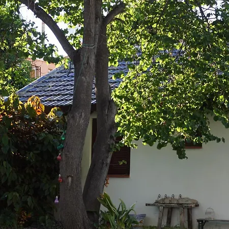 El Jardin De Azahar * Malaga